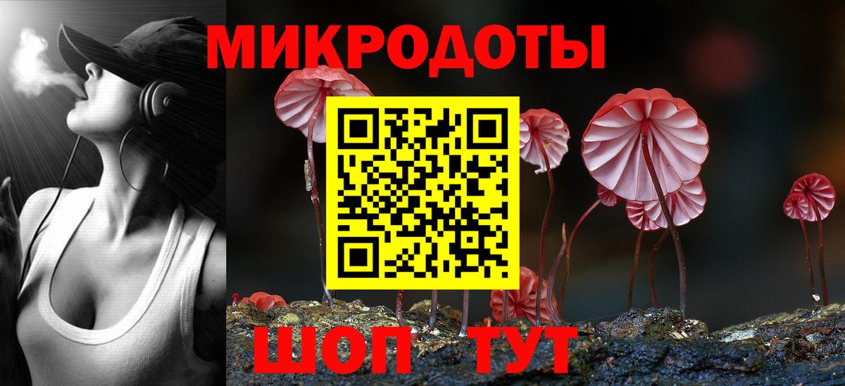 Псилоцибиновые грибы мицелий Усть-Илимск